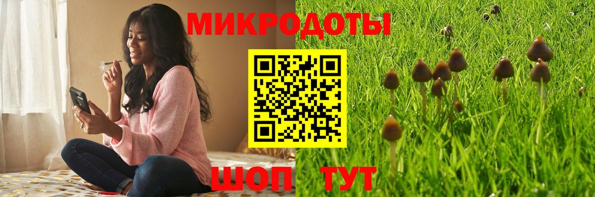 Галлюциногенные грибы мицелий  Псилоцибиновые грибы Magic Shrooms  Воркута  цена наркотик  Вход с VPN 